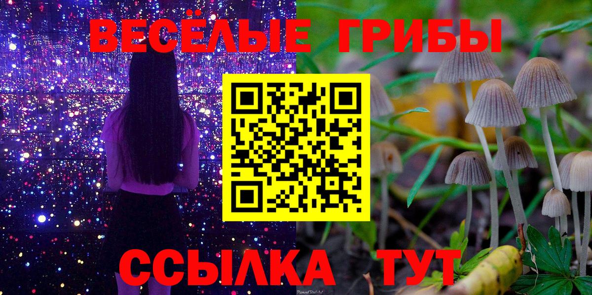 Галлюциногенные грибы мухоморы  Вход с VPN  Кубинка 